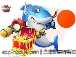 全球彩票开奖记录详细分析