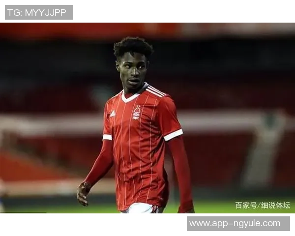 探寻索博斯洛伊的历史魅力与文化传承之旅