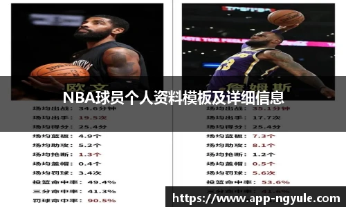 NG娱乐平台