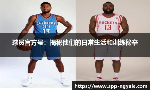 NG娱乐官网