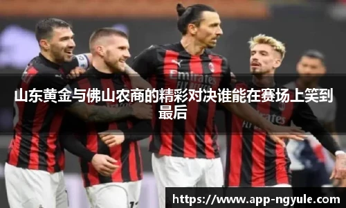 NG娱乐官网