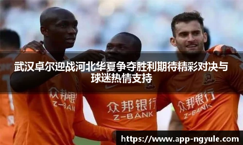NG娱乐网址