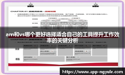 am和vs哪个更好选择适合自己的工具提升工作效率的关键分析
