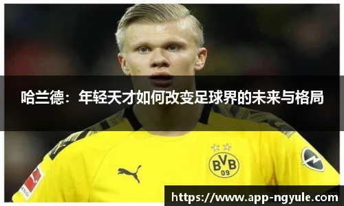 NG娱乐平台